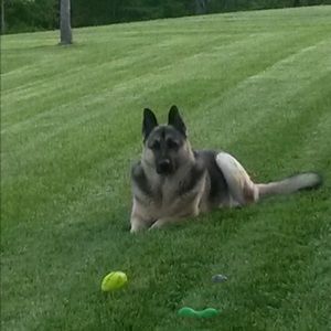 Meet your Posher, Jackie